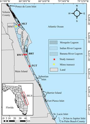 Groundwater nutrient loading into the northern Indian River lagoon: measurements and modeling